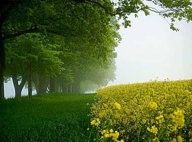 八月三十日生辰赏景