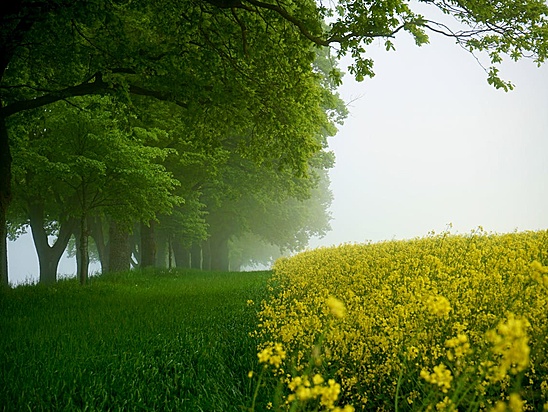 八月三十日生辰赏景